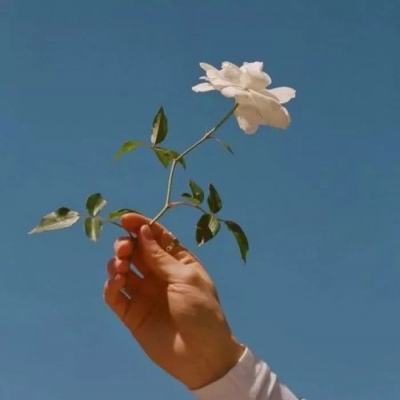 剑舞龙城3d果盘版下载